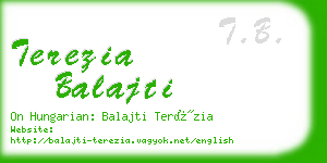 terezia balajti business card